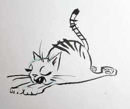 Phat Cat