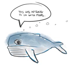 Whale Day
