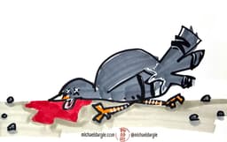 Broken Pigeon