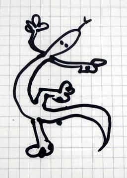 Wall Lizard